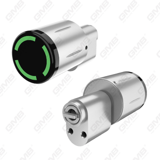 Biometryczny inteligentny cylinder Electronic Card Card Card Card (3A03)