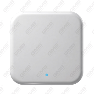 Ttlock Gateway WIFI Smart Digital Gateway dla Smart Lock Pilot Control (G2)