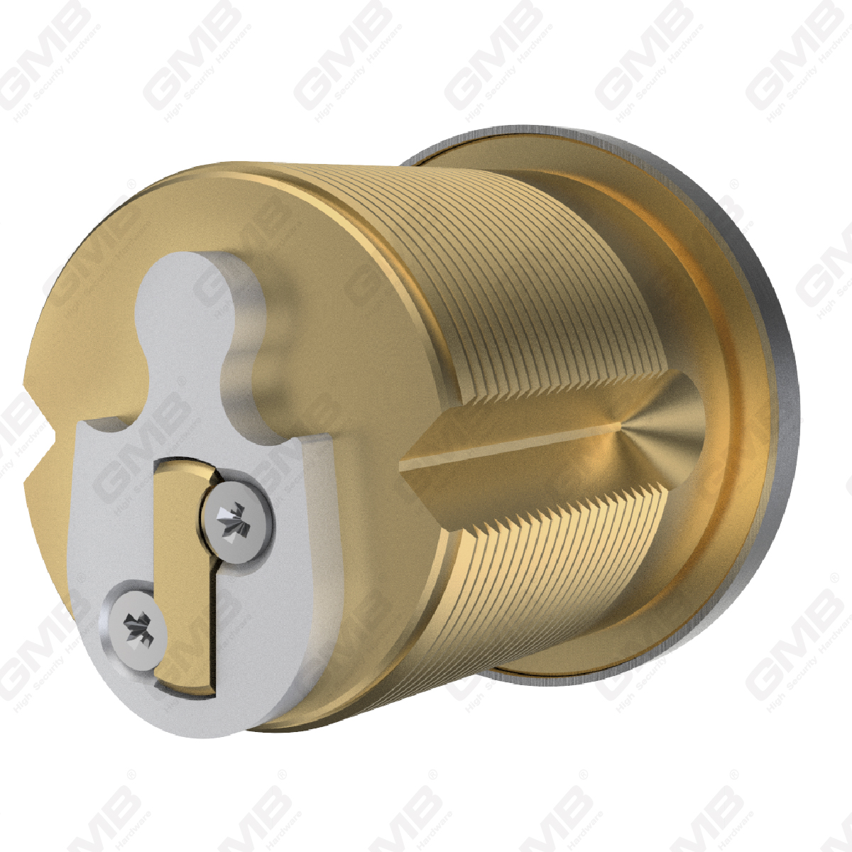 Wymienny cylinder w apartamentach klucz główny （R8）