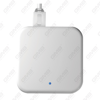 G3P WiFi Ble Poe Ttlock Gateway dla Smart Lock i innych urządzeń TTLOCK (G3P)