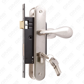 Zestaw zamków do drzwi o wysokim poziomie bezpieczeństwa z otworem na cylinder zamka Zestaw zamków Uchwyt zamka w obudowie zamka (seria 1549)
