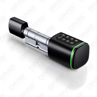 Biometryczny inteligentny cylinder elektroniczny cylinder cylinder cylinder elektroniczny (S1 KK)